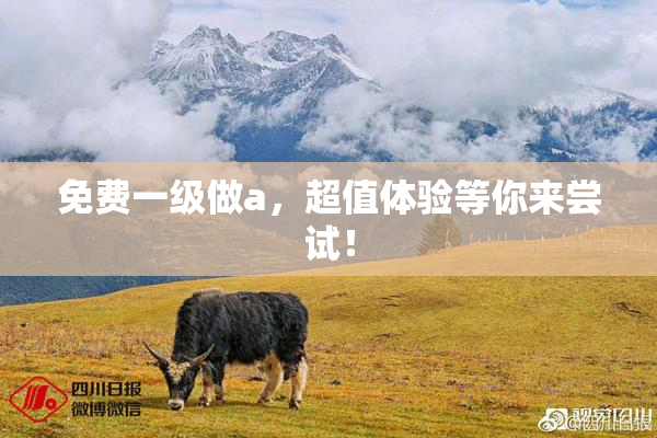 免费一级做a，超值体验等你来尝试！