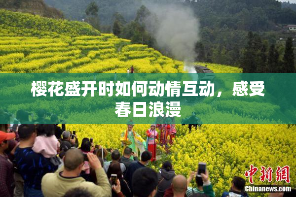樱花盛开时如何动情互动，感受春日浪漫