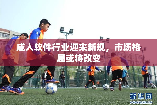 成人软件行业迎来新规，市场格局或将改变