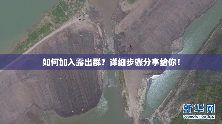 如何加入露出群？详细步骤分享给你！