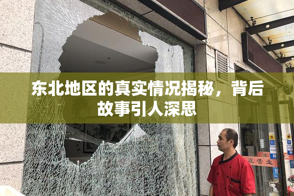 东北地区的真实情况揭秘，背后故事引人深思