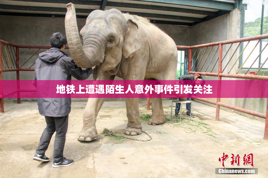 地铁上遭遇陌生人意外事件引发关注