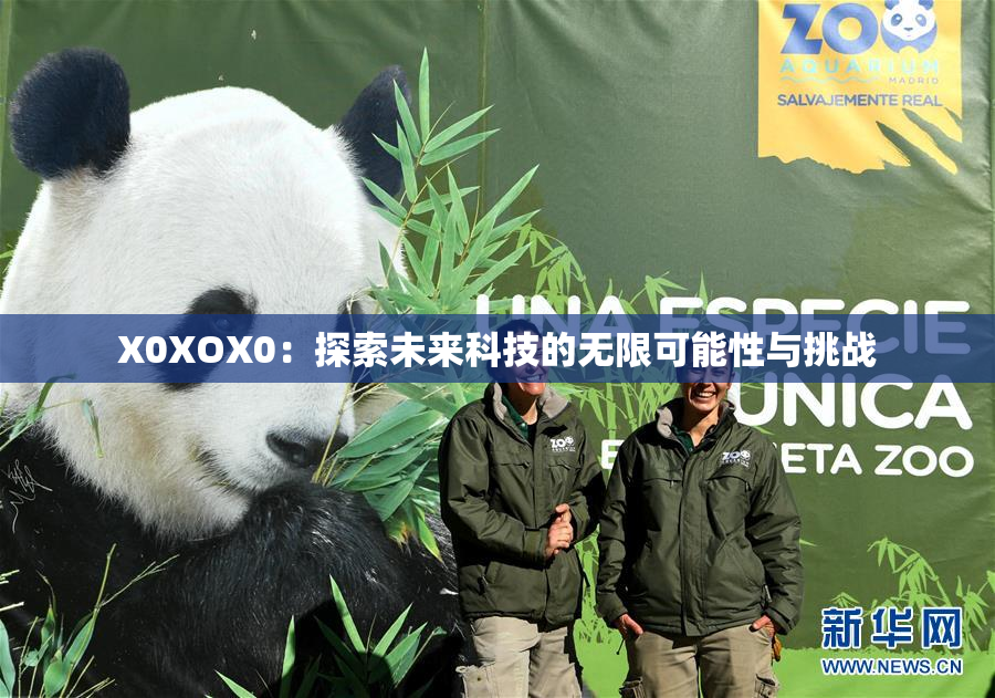 X0XOX0：探索未来科技的无限可能性与挑战