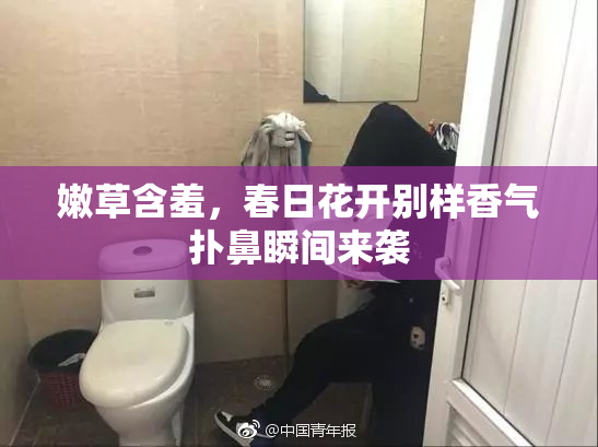 嫩草含羞，春日花开别样香气扑鼻瞬间来袭