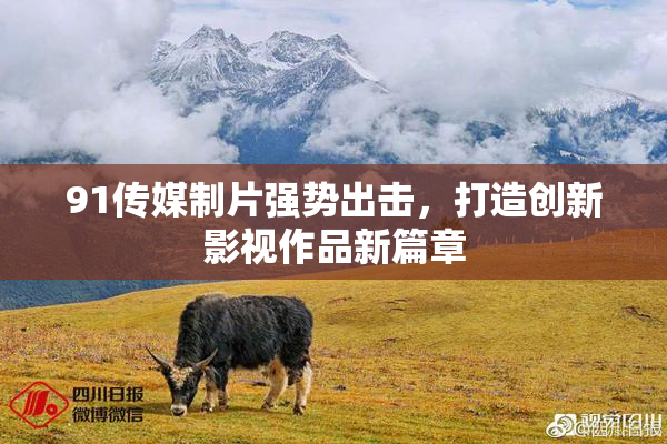 91传媒制片强势出击，打造创新影视作品新篇章