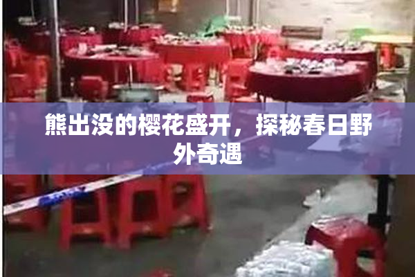 熊出没的樱花盛开，探秘春日野外奇遇