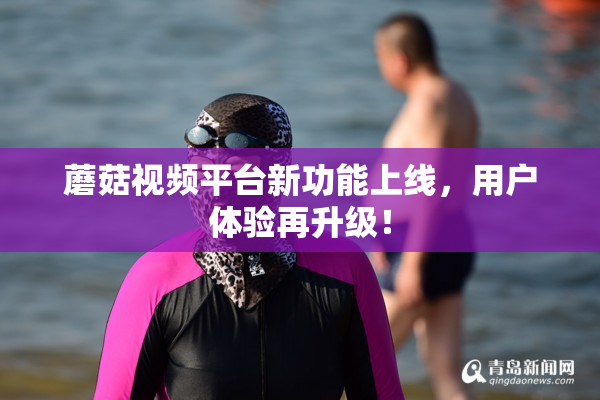 蘑菇视频平台新功能上线，用户体验再升级！