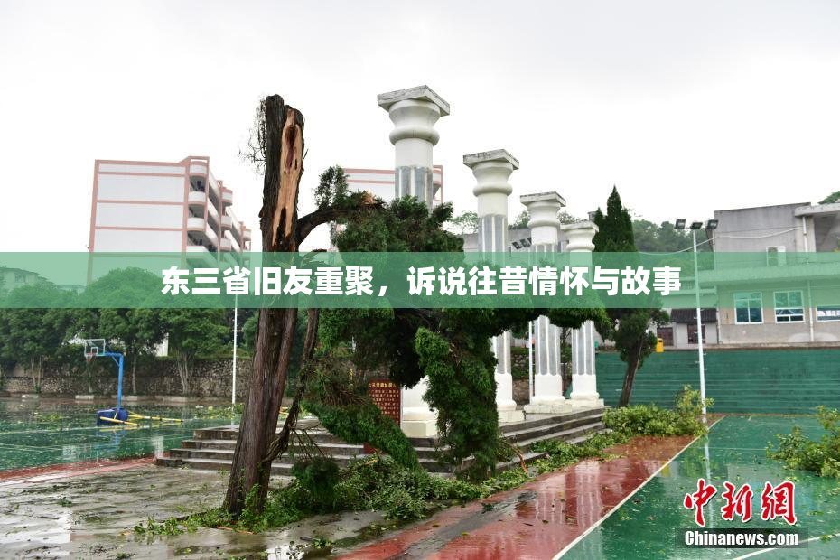 东三省旧友重聚，诉说往昔情怀与故事
