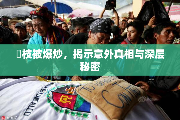 狛枝被爆炒，揭示意外真相与深层秘密