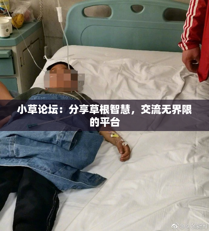小草论坛：分享草根智慧，交流无界限的平台