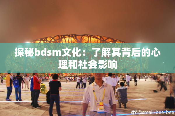 探秘bdsm文化：了解其背后的心理和社会影响