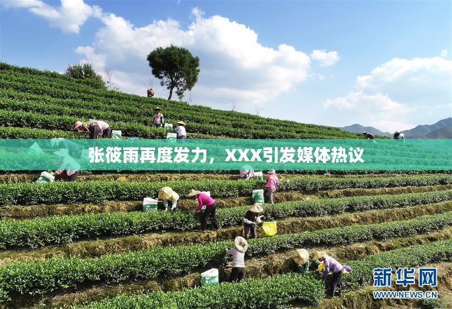 张筱雨再度发力，XXX引发媒体热议