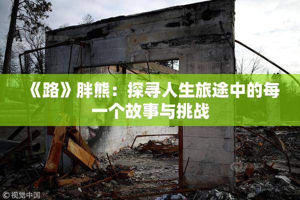 《路》胖熊：探寻人生旅途中的每一个故事与挑战