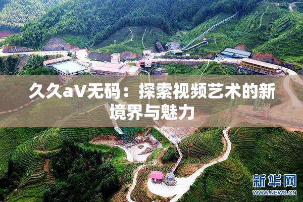 久久aV无码：探索视频艺术的新境界与魅力