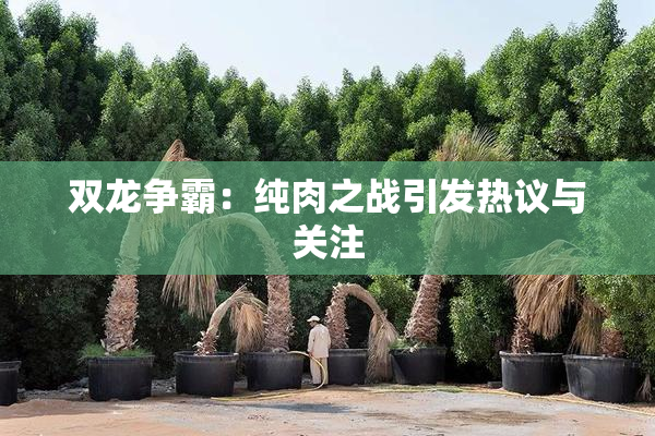 双龙争霸：纯肉之战引发热议与关注