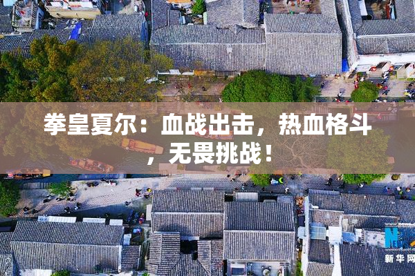 拳皇夏尔：血战出击，热血格斗，无畏挑战！