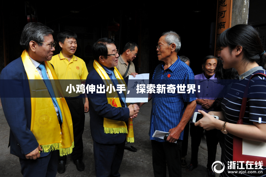 小鸡伸出小手，探索新奇世界！