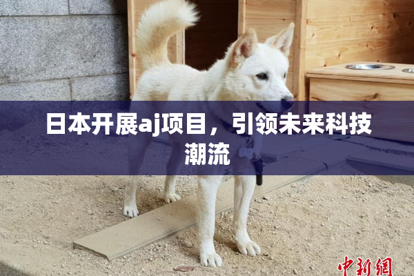 日本开展aj项目，引领未来科技潮流