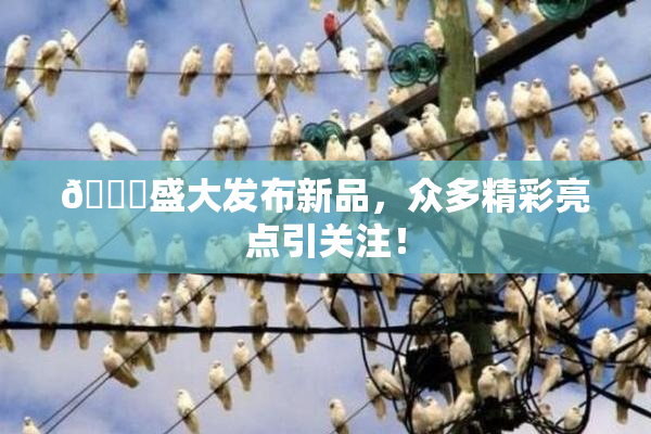 🔞盛大发布新品，众多精彩亮点引关注！