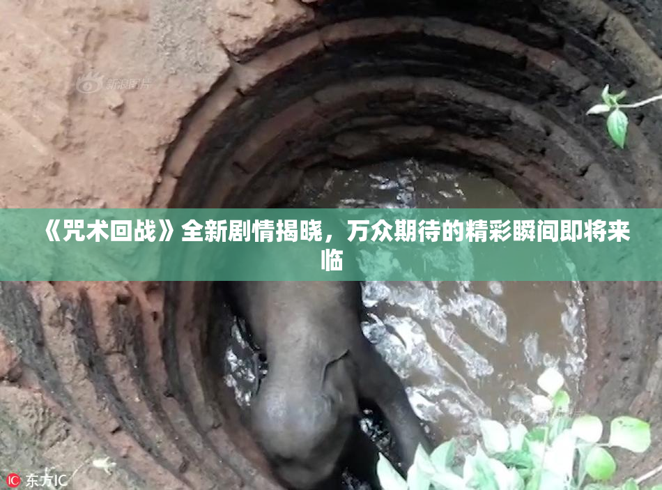 《咒术回战》全新剧情揭晓，万众期待的精彩瞬间即将来临