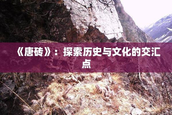 《唐砖》：探索历史与文化的交汇点