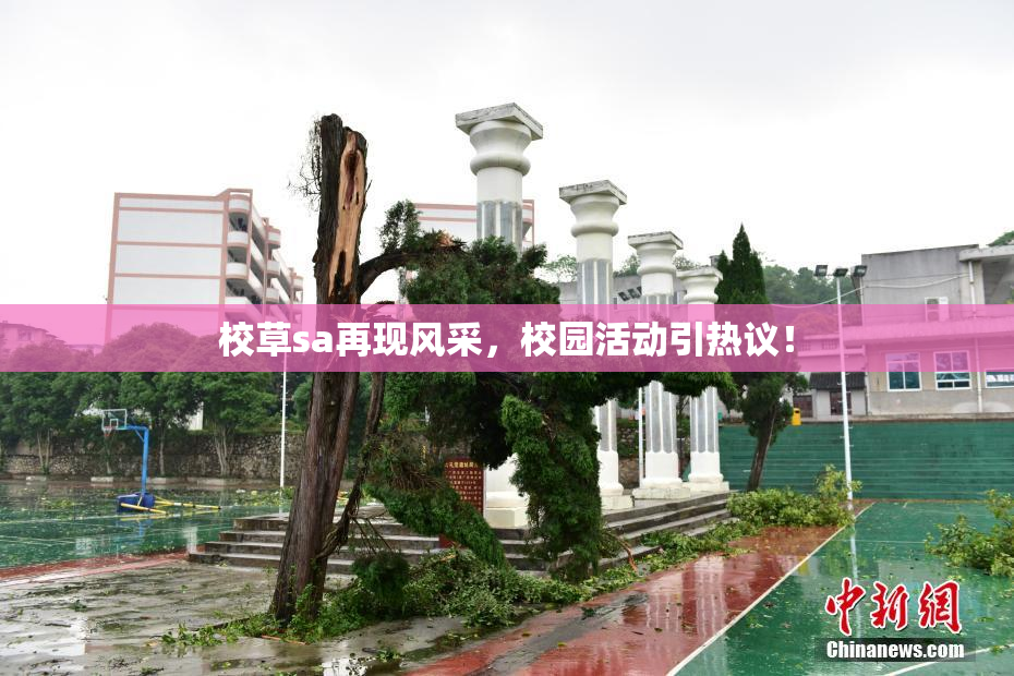 校草sa再现风采，校园活动引热议！