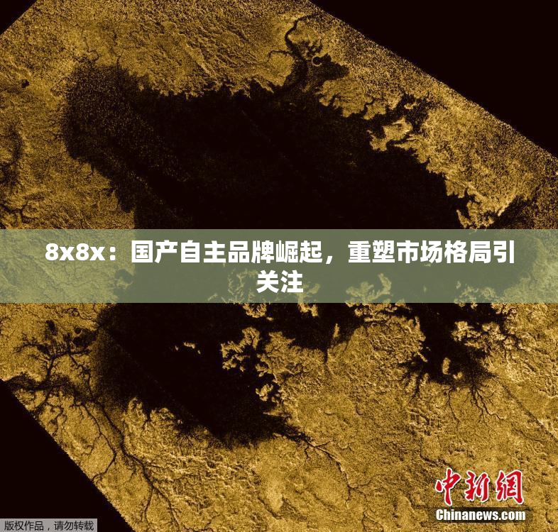 8x8x：国产自主品牌崛起，重塑市场格局引关注