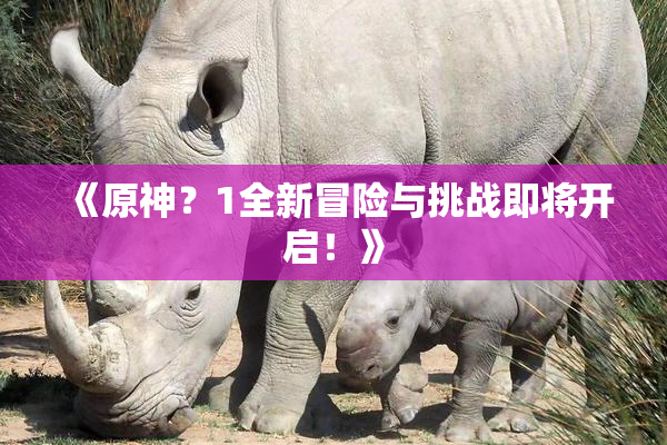 《原神？1全新冒险与挑战即将开启！》