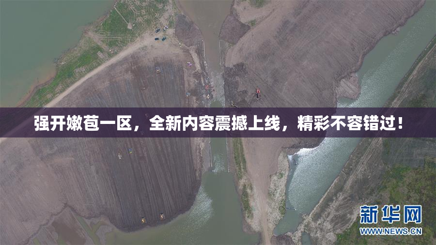 强开嫩苞一区，全新内容震撼上线，精彩不容错过！