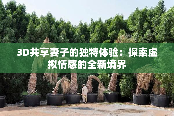 3D共享妻子的独特体验：探索虚拟情感的全新境界