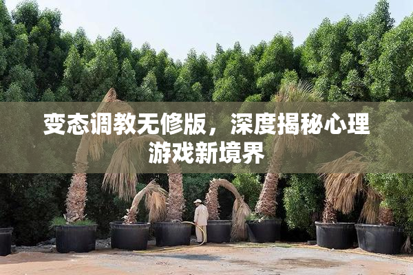 变态调教无修版，深度揭秘心理游戏新境界