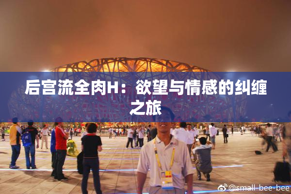 后宫流全肉H：欲望与情感的纠缠之旅