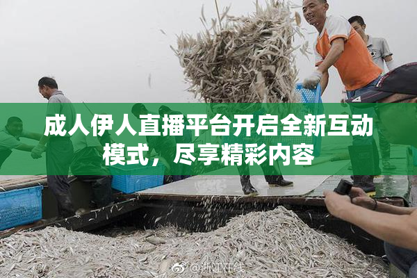 成人伊人直播平台开启全新互动模式，尽享精彩内容