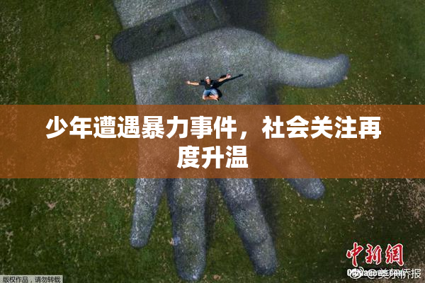 少年遭遇暴力事件，社会关注再度升温