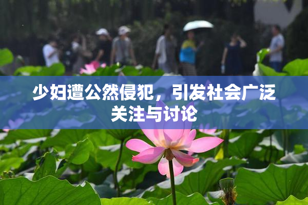 少妇遭公然侵犯，引发社会广泛关注与讨论