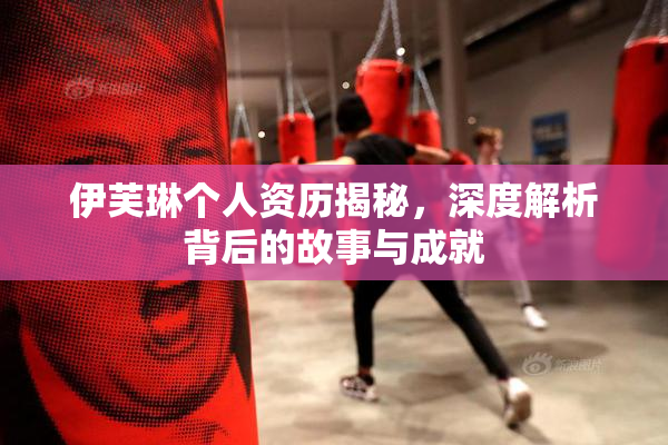 伊芙琳个人资历揭秘，深度解析背后的故事与成就