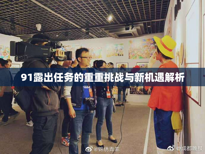 91露出任务的重重挑战与新机遇解析