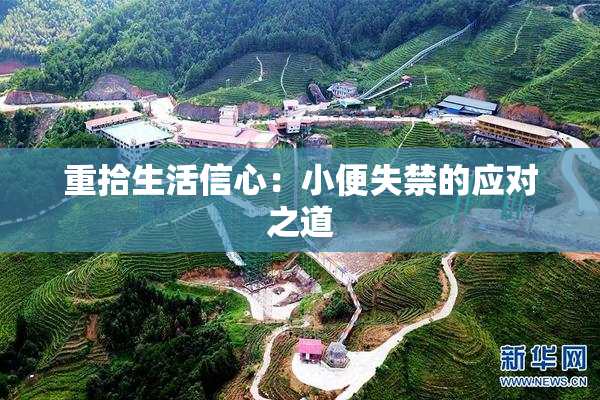 重拾生活信心：小便失禁的应对之道