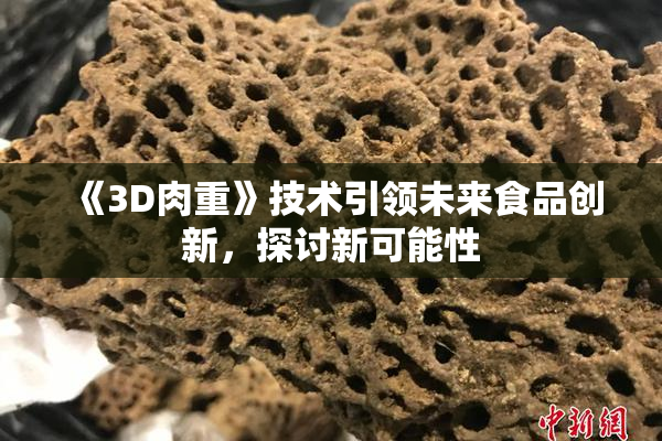 《3D肉重》技术引领未来食品创新，探讨新可能性