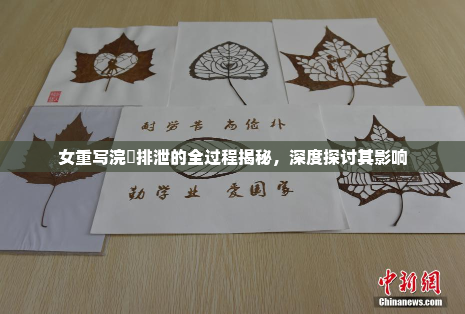女重写浣腸排泄的全过程揭秘，深度探讨其影响