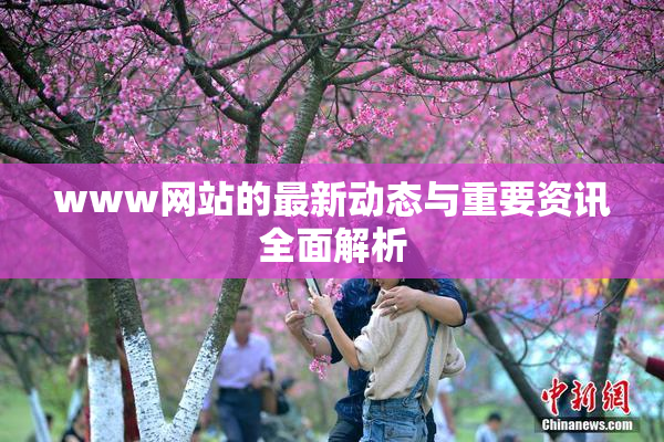 www网站的最新动态与重要资讯全面解析