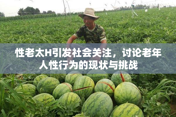 性老太H引发社会关注，讨论老年人性行为的现状与挑战