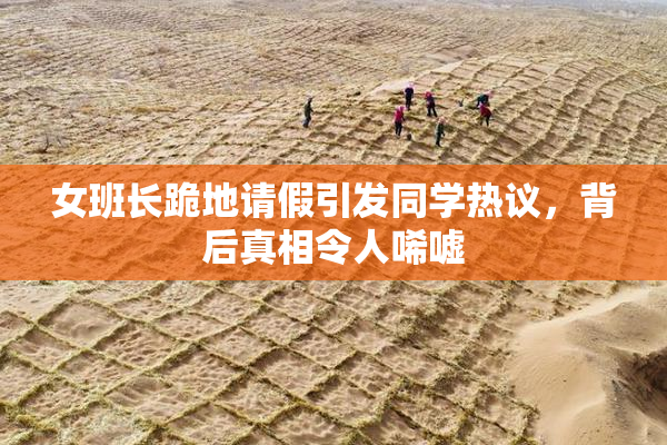 女班长跪地请假引发同学热议，背后真相令人唏嘘