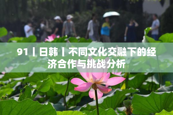 91丨日韩丨不同文化交融下的经济合作与挑战分析