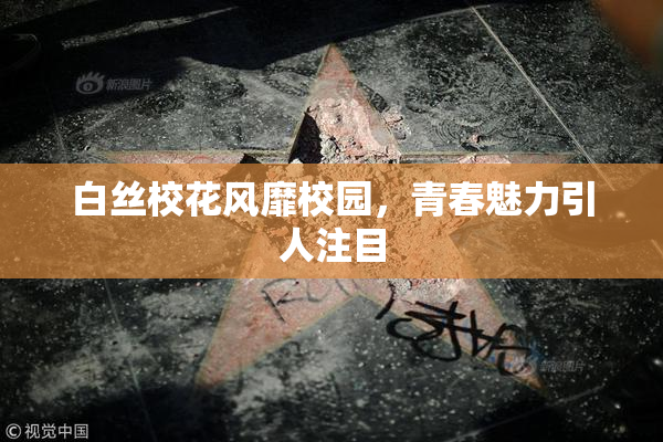 白丝校花风靡校园，青春魅力引人注目