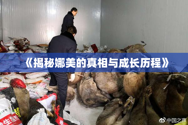 《揭秘娜美的真相与成长历程》