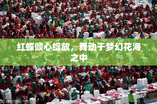 红蝶倾心绽放，舞动于梦幻花海之中