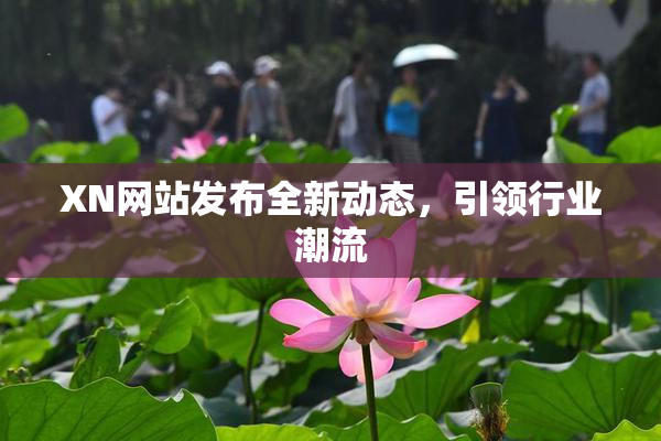 XN网站发布全新动态，引领行业潮流