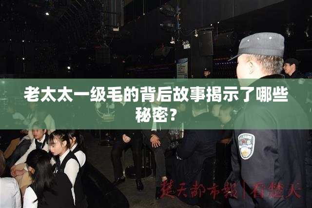 老太太一级毛的背后故事揭示了哪些秘密？