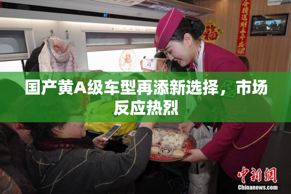 国产黄A级车型再添新选择，市场反应热烈